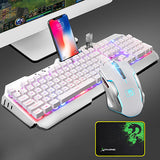 Mechanical Feel Keyboard USB Wired Ergonomic Backlit Mechanical Feel Gaming Keyboard and Mouse Set with Aluminium Alloy Panel