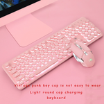 Brand New Gaming Keyboard and Mouse Set Rainbow Backlight Usb Mechanical Ergonomic Chargable Keyboard  Mouse Kit for PC Laptop
